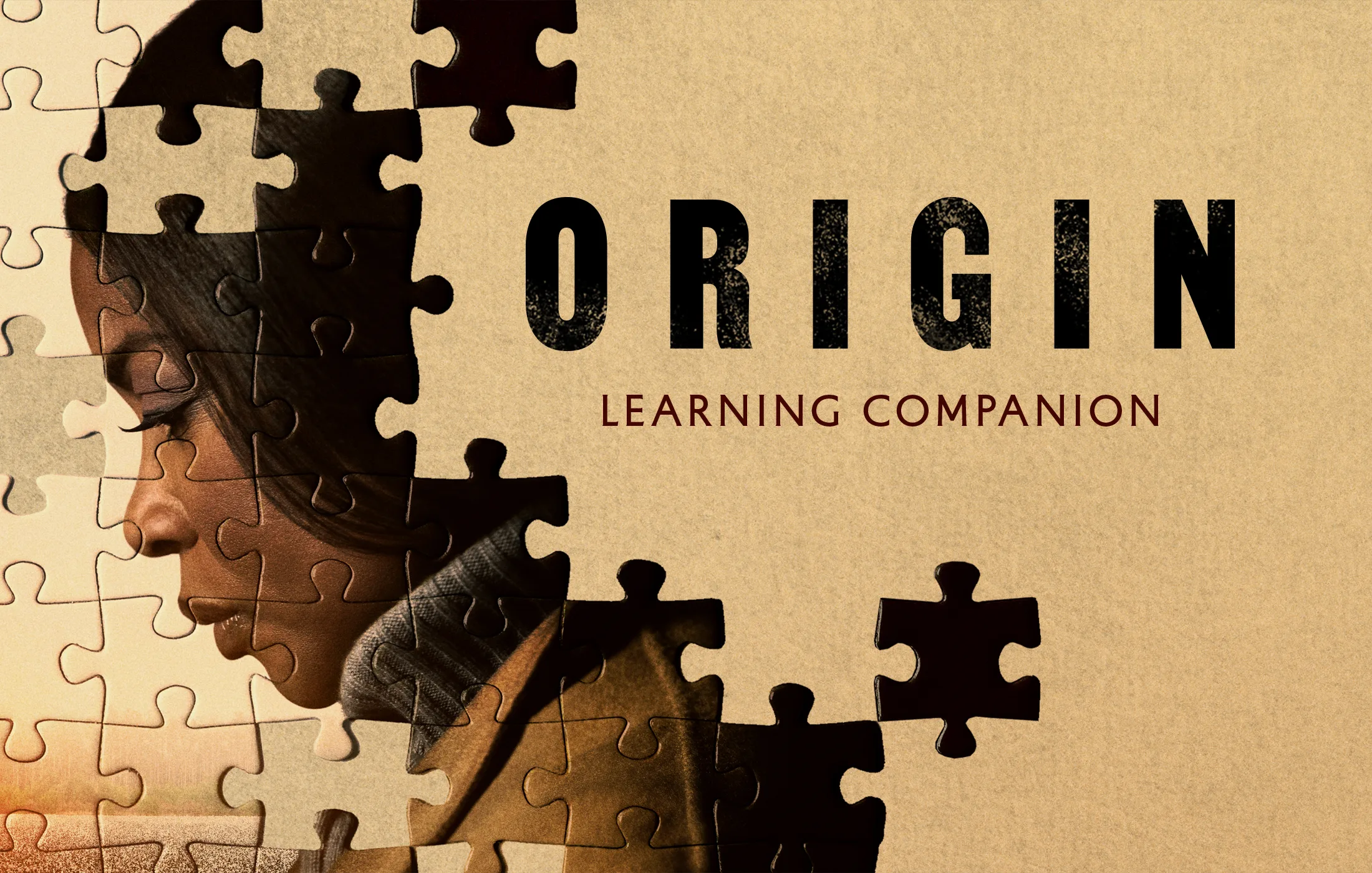 ORIGIN: A Learning Companion – ARRAY 101